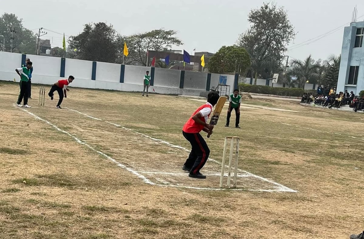 Cricket